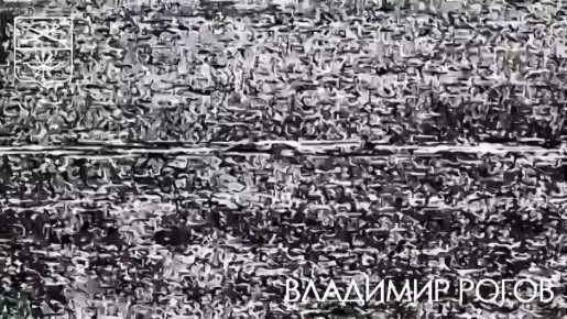 Владимир Рогов: Русские воины перехватили сигнал вражеского БпЛА и уничтожили дроноводов ЗеРейха