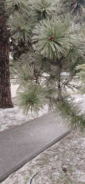 Желаем самого доброго, бодрого, счастливого, красивого, нежного, сладкого и прекрасного утра