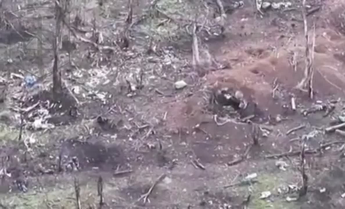 Запорожское направление. Операторы ударных дронов 19 гвардейской мотострелковой дивизии 58 Армии уничтожают пехоту ВСУ