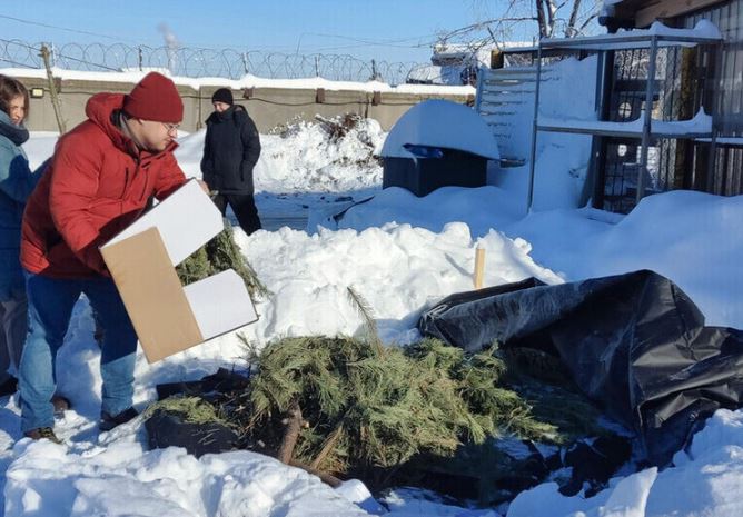 Донбасс и Новороссия присоединились к всероссийской акции «Елковорот»