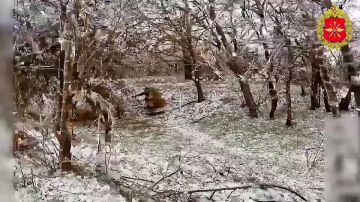 Минобороны России: Войска беспилотных систем наносят мощные удары по противнику