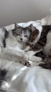 Вечер пятницы. Вот и завершилась рабочая неделя