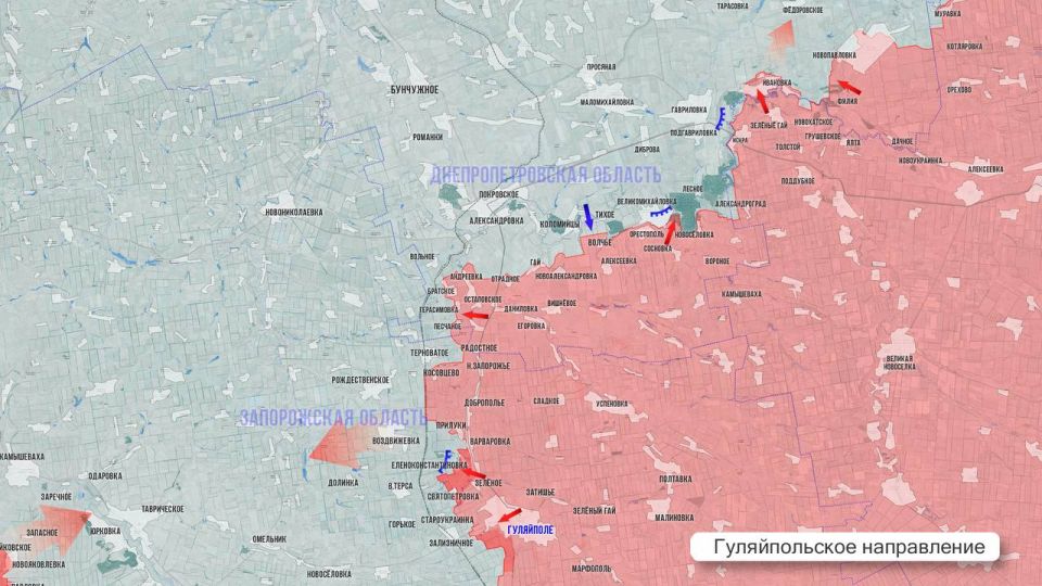 ���� ����: ��������� ������ 24 ������