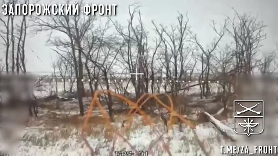 �������� ����� �� ������ �����, 291 ����, ���������� ����������� � ���������� ������� � ������ ������ ��� �� ���������� �����������