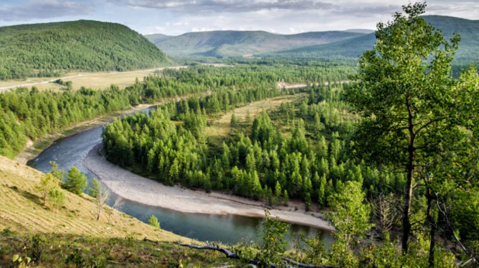 ������� ���������� ����. � ����������� ������� �������� ����� ����� ���������� ��������� ���� ������������ �������� � ������������ ���� �������� ���