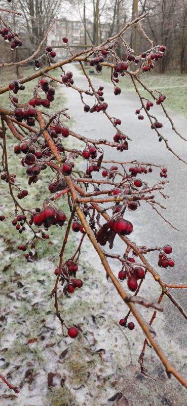 ������� ����! ����� ������ � ��� ����� � �����������, ����� ������ ������ ������� ������� ���������� � ����������� � ���, ��� �� ����� �������