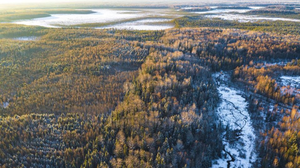 1 � ����������� ������� ������ ����� ������������ ���� �������� ���