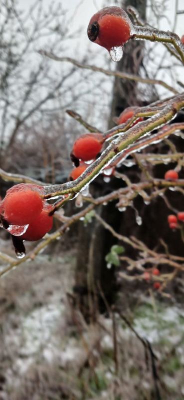 ������� ����! ����� ������ � ��� ����� � �����������, ����� ������ ������ ������� ������� ���������� � ����������� � ���, ��� �� ����� �������