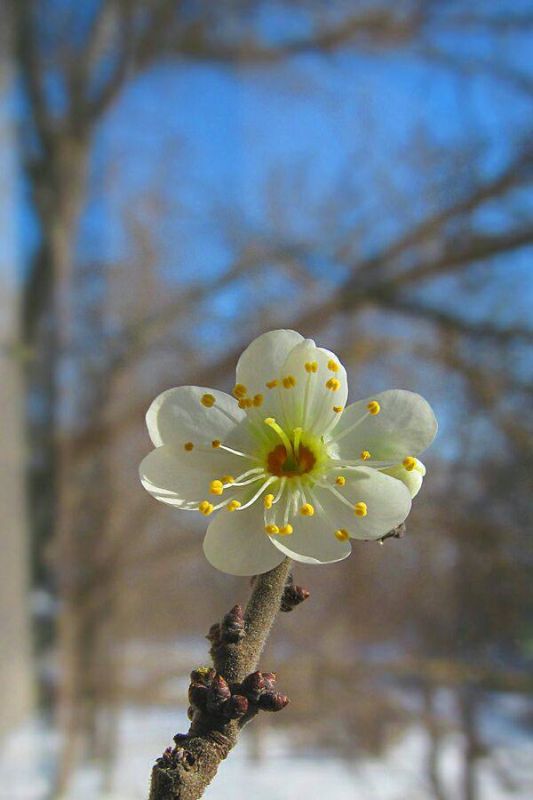 ������!. � ���������� ��� ����� ��� ������� �����! ��� ������� ����� �������� � ������� � ����� �� ����������� � ������ �� ����� �����������! ����� ��� ������� ������� �� ��� �������� ������� ��������� ������� � �������...