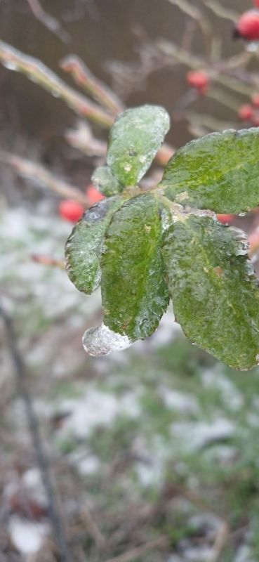 � ������ �����, � ����������� ����!