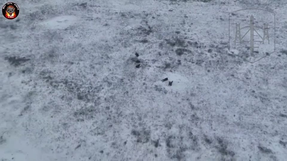 ����� �.�.������ ��������� ������ 71 ������������ ��������������� ����� 58 ����� ���������� ������ ���