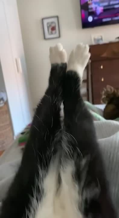 ���������� � ����������. ����� ������� ������ ��������