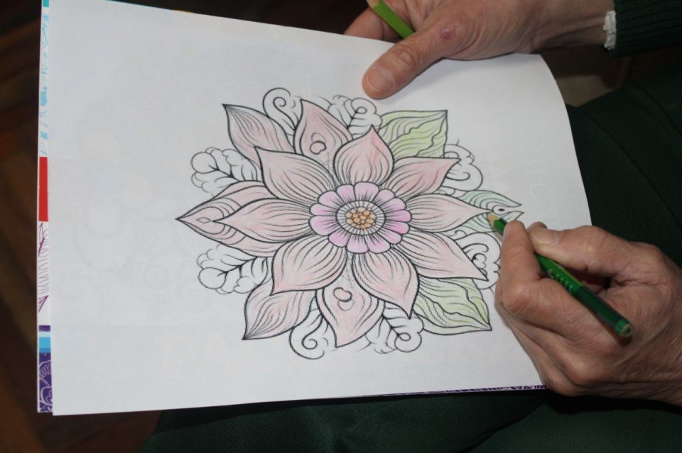 ������� �������� ��������������� ����������� ��-1 ����� ������ �� ����������� ������� ������� ������� �� ���-������� ������� �������� � �����������