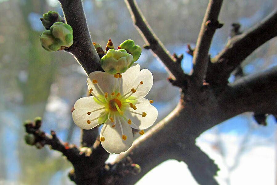 ������!. � ���������� ��� ����� ��� ������� �����! ��� ������� ����� �������� � ������� � ����� �� ����������� � ������ �� ����� �����������! ����� ��� ������� ������� �� ��� �������� ������� ��������� ������� � �������...