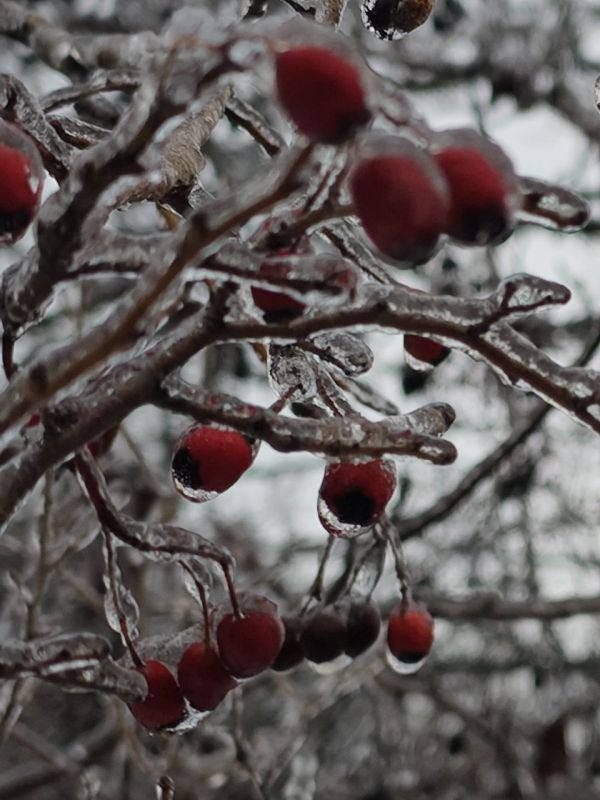 � ������ �����, � ����������� ����!