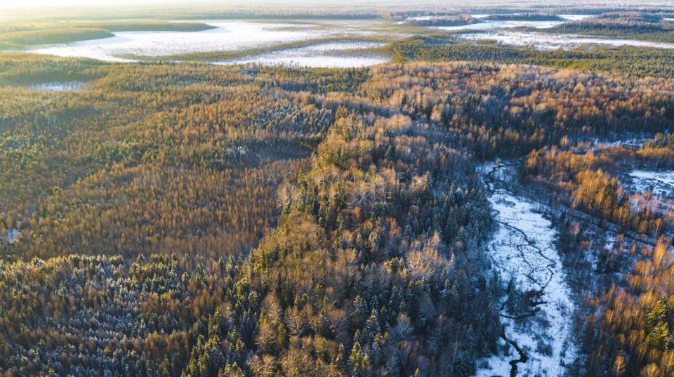 � ����������� ������� ������� ����� ����� ���������� ��������� ���������� ������������ �������� � ������������ ���� �������� ���