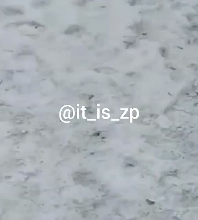 � ������ ��������� 16-������ ��������� ������� �������� � ����� ����