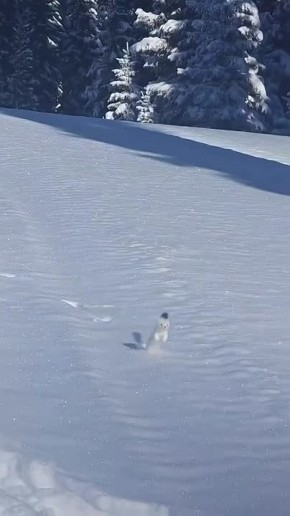 ����� ������ �����. � ������� ����������� ������������ � ������