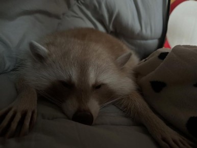 ������ ����, ������� ����������! ������ ����, ���������!