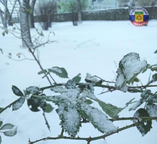 ���� ����� ����� �������� ��� �������� ����������, ��������������� ��� ���������� ����, ���������� ��������, ���� ������ ���� ���� ���������, ��������, ��� ������� ��������� ��������������, ��������