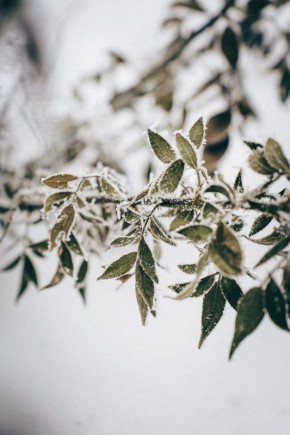 ���������� ������� �������� � ��� � ��������!