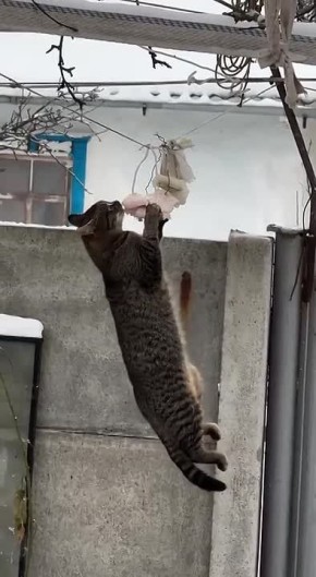 � �������� ���� � �������� ����