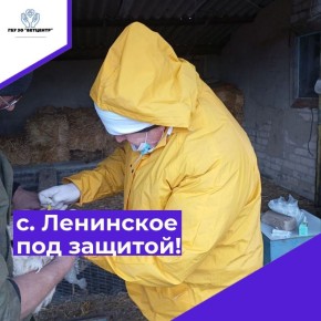 ���� � ������ ������� �� ����������������� ������ ����