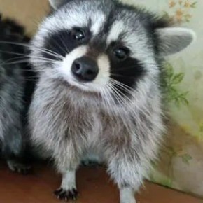 ������ ����, ������! �������� ��� ��� � ��������� ����������!