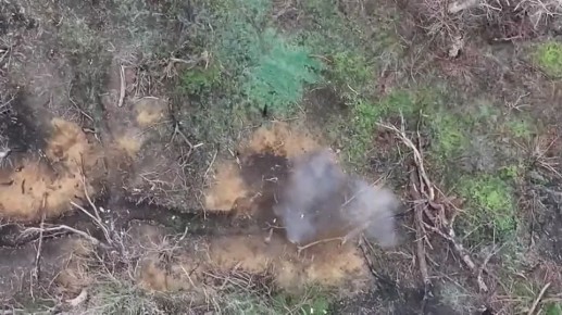 ���������� �����������. ������ ����������