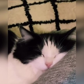 �������� ���������. ������� ������� ������, ������ �� ������