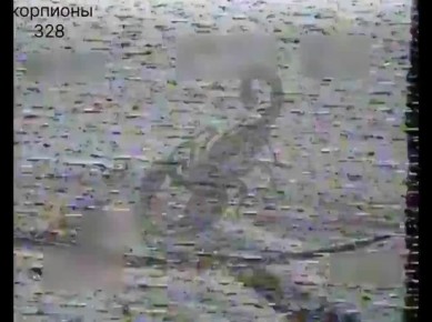 ����������� �����������. ������� FPV 328 ��. ��� 104 ��. ��� ��� �� ������� ��� "�����" ���������� ������� ����� �� ���������� �������