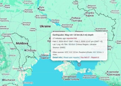 � �������� ���� ������������� ������������� ���������� 4,8