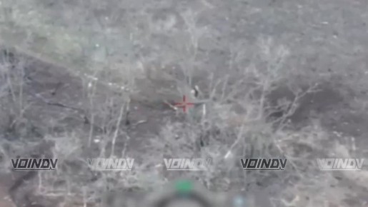 1. ������ ���������� ���� 35 ����� �� ����������� ������� �����, ���������� � �� �� ��������� �����������