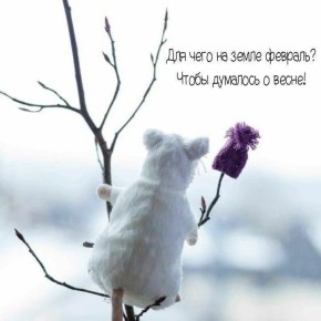 ������ �������� ����, ������!