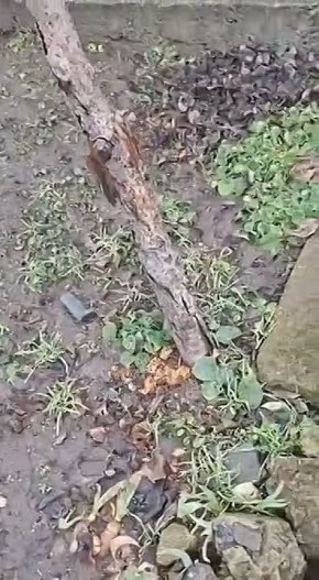 ���������: ����-���������!