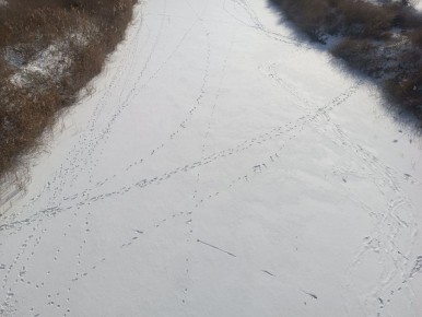 ������������� ����������� �������������� ������ ����������!!!!!!!