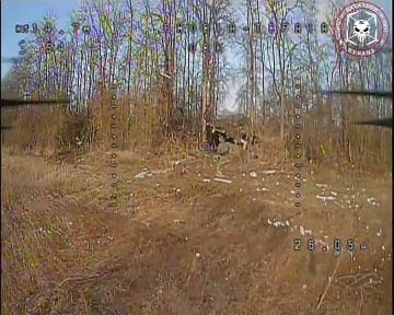 ����� ���� "�����" ��������� "������" 392 ��� ��������� ��������� ��� 2�1 "��������" � ������ �.�������� ����������� �������