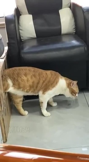 ����� � ��������� �������. � ��� �����, ������ � ���������� ������ �� ������