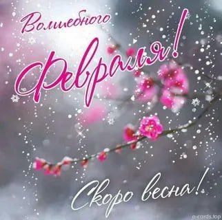 ������ ����, ������������. ��������, �������, �����, �����!