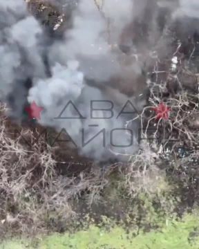 ��� ������: ����������� �����. ����� 291-�� ��������������� ����� ���������� �������������� �������� � ������ �������