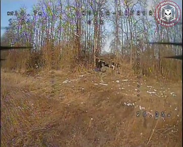 ����� ���� "�����" ��������� "������" 392 ��� ��������� ��������� ��� 2�1 "��������" � ������ �.�������� ����������� �������