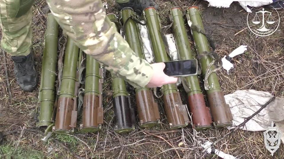 За диверсионную деятельность житель Запорожья получил 12 лет 5 месяцев колонии строгого режима