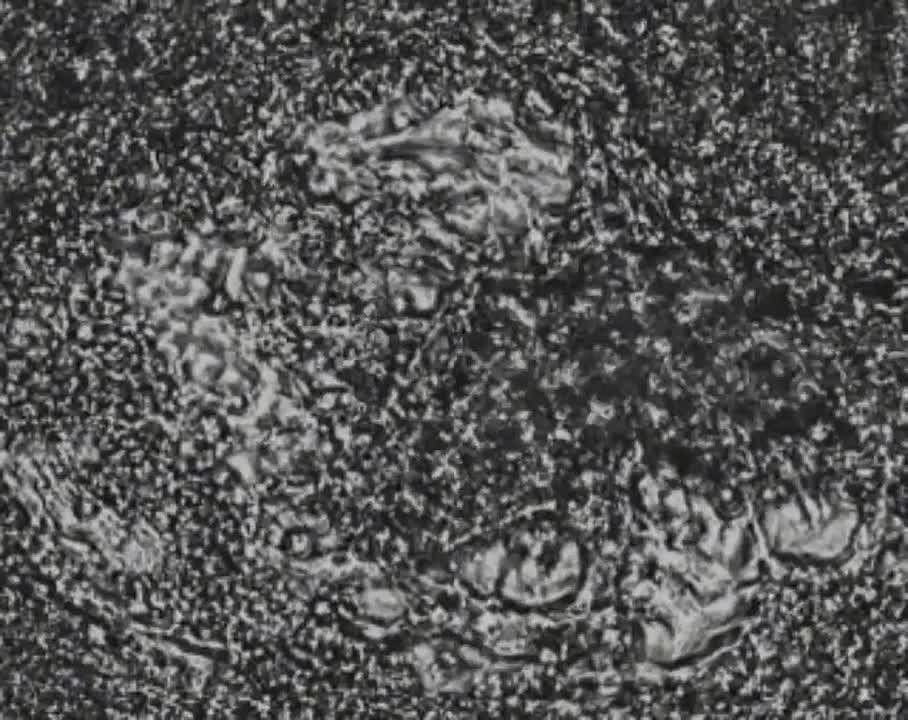 ������ ���� ��������� � �������� ����� ������