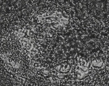 ������ ���� ��������� � �������� ����� ������