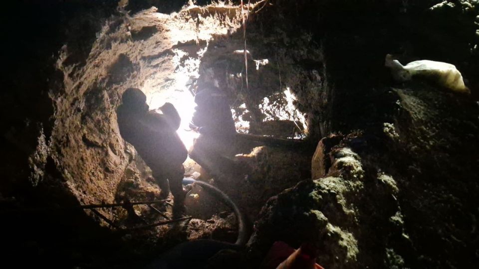 ������ �� ���������� ��������� ��� "��������" ������