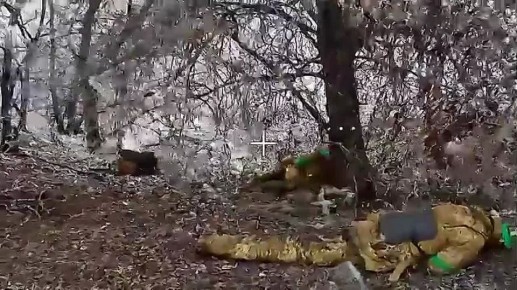 ��������� ������ 7 ��� ������� ������ ������ �� ����������� �����������