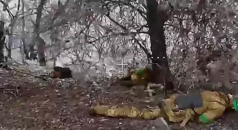 ��������� �������: �������� ������� ������ �� ����������� �� ��������� � ����������� �������