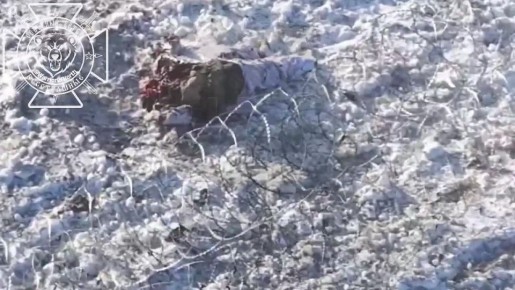 ���������� ������������ ������ "��������" ���� ������ ������, ������ ��� � �������� ����