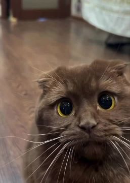 �������� ���������. ����� ������� ��� ������ ����������� � ����� ����� �� ������