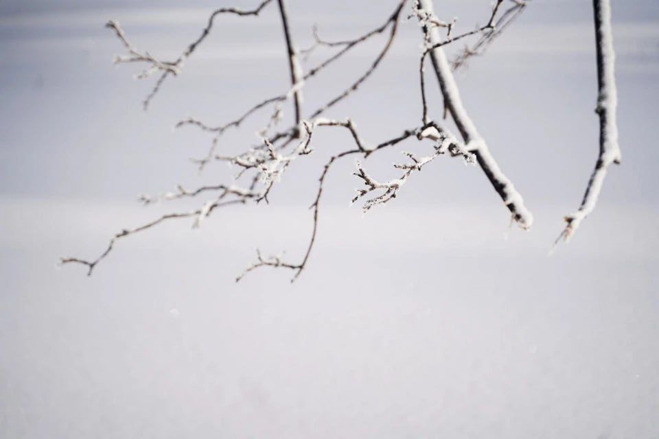 � ����������� ������� ��������� �������� ������� � ���������� 9 �������